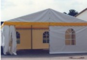 Carpas party Standard