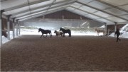 Reithalle